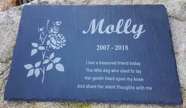 Pet Memorial Plaques Pet Memorial Plaques